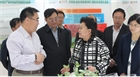 市委副書記、代市長艾麗華來我公司考察、調(diào)研